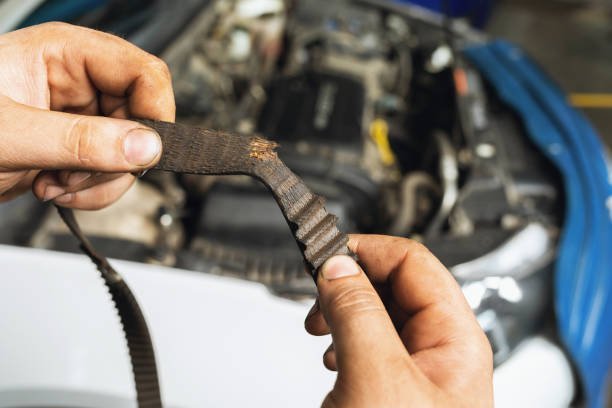 istockphoto-1329714233-612x612-1.jpg
